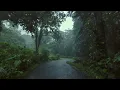 [4K ASMR] Peaceful Rain Walk in Forest Road | Relax Mind, Relieve Stress & Fall Asleep Fast