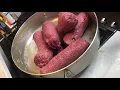 Home made Dog Food using Just Food for Dogs Beef and Russet Potato