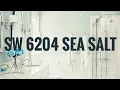 COOL GRAY PAINT COLORS Sherwin Williams Sea Salt