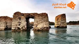 سعدي الحديثي جفن السلمان علميمر 