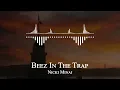 Nicki Minaj - Beez In The Trap