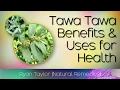 Tawa Tawa-bladeren: voordelen en toepassingen