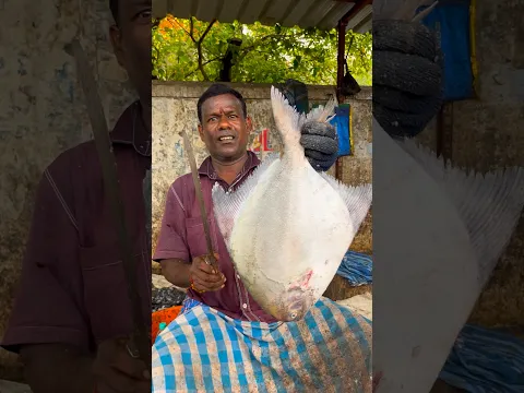 Kasimedu fish cutting video #kasimeduselvam #shorts #bigfish #youtube #fishcuttingworld