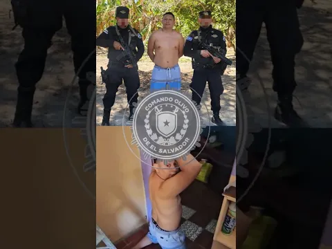 Capturan a peligroso pandillero de la MS13 #nayibbukele #elsalvador #cecot #tiktok #viral #short