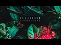 Deeb - Speak in Colours (Zen Baboon Remix)