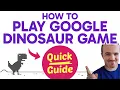 How to PLAY Google Dinosaur Game Step by Step