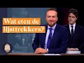 Download Lagu JA21-programma bevat andere informatie dan dat ze aan het CPB geven | LUBACH