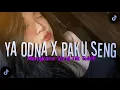 Download Lagu DJ YA ODNA X PAKU PAKU SENG X KUTUKAN MANTAN || SLOW MENGKANE || VIRAL TIK TOK