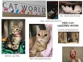 Pet Adoption Fostering in Huntsville Alabama