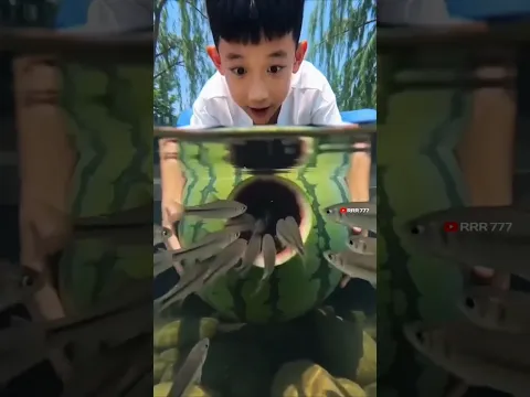 fish catching 🤣 #funny #funnyvideo