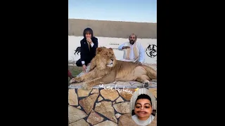 هتضحك يعني هتضحك مع لسعه دماغ   مقاطع مجمعه قصيره دندنها