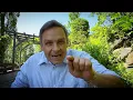 Download Lagu Merkel redet von Menschenwürde. Was ist mit der Würde der Menschen, die unter den Folgen leben?