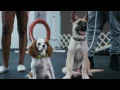 J.Cole - Wet Dreamz Music Video HD
