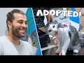 Download Lagu Anak Kucing Yatim Piatu Diadopsi! (Lihat Penampilannya Sekarang!)