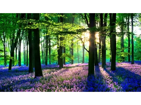 New! Chillstep Mix April 2015 (1 Hour)