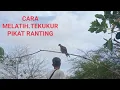 Lagu CARA MELATIH TEKUKUR PIKAT RANTING