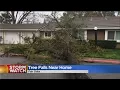 Tree Falls Dangerously Close To Home In Fair Oaks
