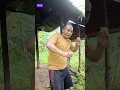 yuk kita ketawa bersama jail Amat jadi orang #funny
