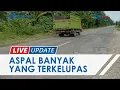 🔴 LIVE UPDATE: Aspal Jalinsum di Muratara Banyak Terkelupas, Pengendara Harus Ekstra Hati-hati
