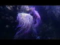 GIST - Black Swan (feat. Leellamarz & DON MALIK) [Official Lyric Video]