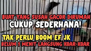 Download Cara Cepat Gacorkan Burung Cendet Untuk Terasan Rumah Saja! MP3