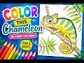 Coloring a Cute Chameleon Relaxing Printable Coloring Page for Kids Beginners