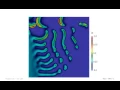 The Gray Scott Model Pattern 4 OpenFOAM