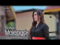 Download Lagu MUSIK SLOW ENAK ! TEANSE MOLENGO || Ucu Malahayati - Dangdut WAKATOBI Terbaru