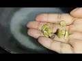 Sticky rice kheer recipe😋😋 | Rice Pudding😋😋 | Payesh Recipe |😋😋😋