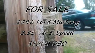 I m Selling My Mustang craigslist ad in the description