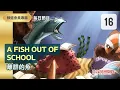 Download Lagu 【當日免費】 (7/16)  A Fish Out of School 離群的魚 (1)