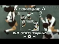 (1 HOUR LOOP) ILLIT (아일릿) - Magnetic