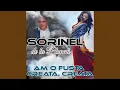 Download Lagu Frunzulita Trei Migdale