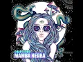 Mamba Negra