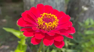 Relaxing And Beautiful Music 