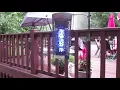 Blacken Decker Bug zapper - Review