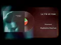 Madeleine Peyroux - La Vie en rose (Vinyl Visualizer)