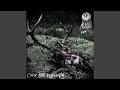Download Lagu Curse Still Lingers On