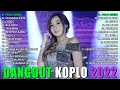 Download Lagu DANGDUT KOPLO TERBARU FUL ALBUM LAGU GALAU 2022 lagu pengobat rindu