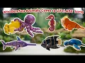Magic Wooden Ocean Animals A Z Alphabet Song for Kids