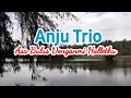 Anju Trio - Asa Bulus Donganmi Hallethu (Official Lyrics Dan Terjemahan) Lagu Batak Terbaru 2024