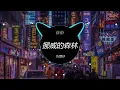伍佰 - 挪威的森林(DJ贺仔 ProgHouse Rmx V1 2023) 2023 年最劲爆的DJ歌曲