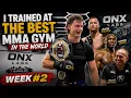 I TRAINED AT THE BEST MMA GYM IN THE WORLD - WEEK