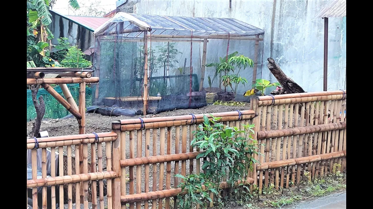 Building a simple bamboo greenhouse garden Building a simple bamboo greenhouse garden