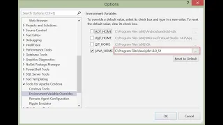 Set Path JAVA - HOME Environment Variable in windows 10