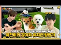 [ZB1_more] 유진이의 강아지 유치원 탐방기 (with 테리 대신 태래) 🎬. more