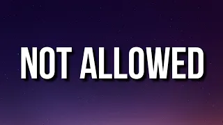 TV Girl Not Allowed Lyrics I Hope We Re Still Friends Yeah I Hope You Don T Mind TikTok Song 