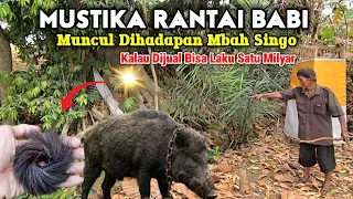 Viral !! Jimat Mustika Rantai Babi Asli Senilai Satu Milyar Muncul Dihadapan Mbah Singo