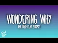 Download Lagu The Red Clay Strays - Wondering Why