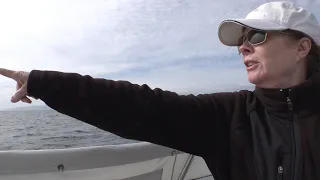 Why We Sail–“Self-Isolation 2020”